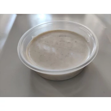 Gyros öntet