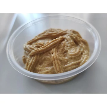 Mustár